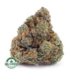 Buy Cannabis Biscotti Cookies AAAA at MMJ Express Online Shop