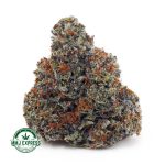 Buy Cannabis Pink Runtz AAA at MMJ Express Online Shop