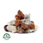 Buy Shrooms - Blue Pulaski at MMJ Express Online Shop