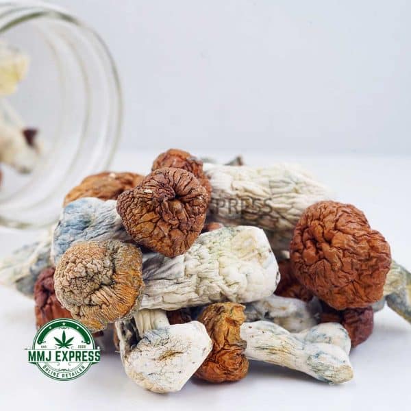 Buy Shrooms - Blue Pulaski at MMJ Express Online Shop