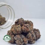 Buy Cannabis Chocolope AAA at MMJ Express Online Shop