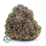 Buy Cannabis King Louis XIII AAA at MMJ Express Online Shop