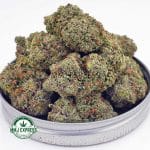 Buy Cannabis King Louis XIII AAA at MMJ Express Online Shop