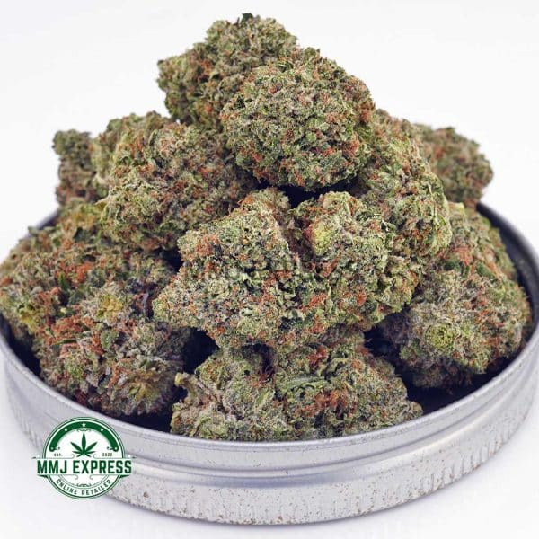 Buy Cannabis King Louis XIII AAA at MMJ Express Online Shop
