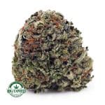 Buy Cannabis Pink Candy Kush AAAA at MMJ Express Online Shop