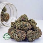 Buy Cannabis Pink Candy Kush AAAA at MMJ Express Online Shop