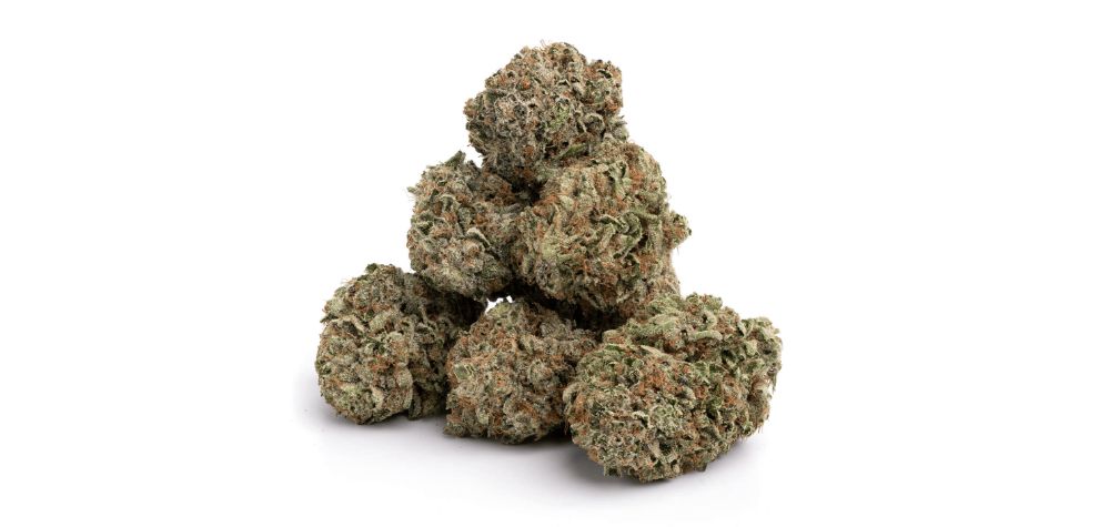 People who buy weed online in Canada explain experiencing an instant rush of euphoria and upliftment. This is thanks to the 20-30% sativa genetics present in this flower.