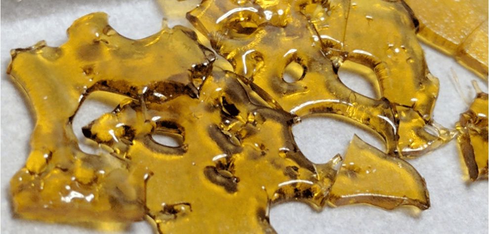 When it comes to how to make shatter, the process begins with extracting the beneficial compounds from the marijuana plant using solvents such as butane. 