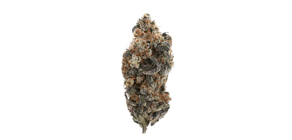Before you buy Death Cookies strain from an online dispensary in Canada, you might want to appreciate its rich parentage.