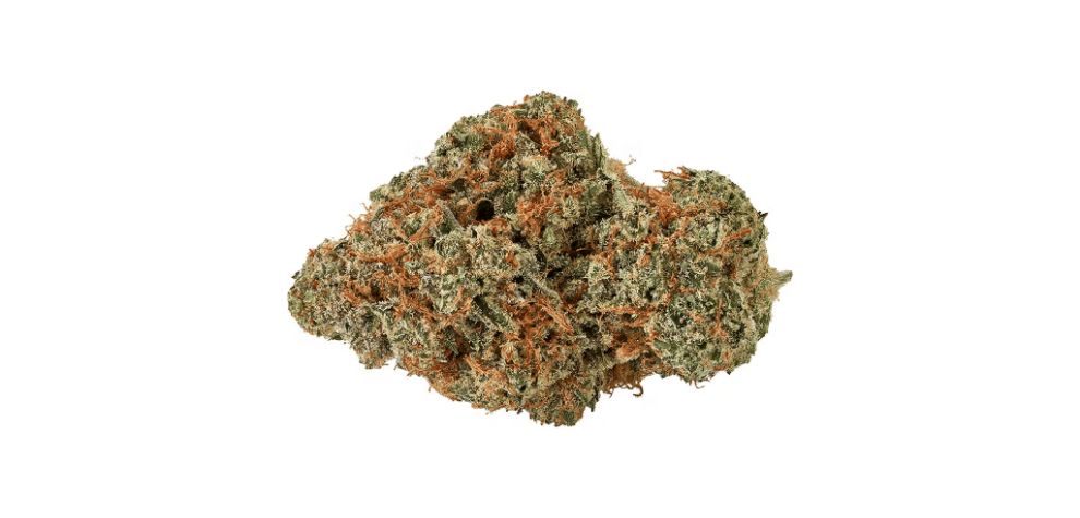 Moby Dick weed has a bunch of medical benefits to offer, as it has a successful track record of helping patients battling with different conditions. 