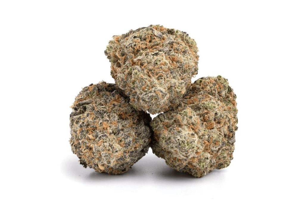 Is the Blue Cheese bud the Lord of the stinkiest strains & how will the high make you feel? Explore THC levels, effects, terpenes & more in this blog!
