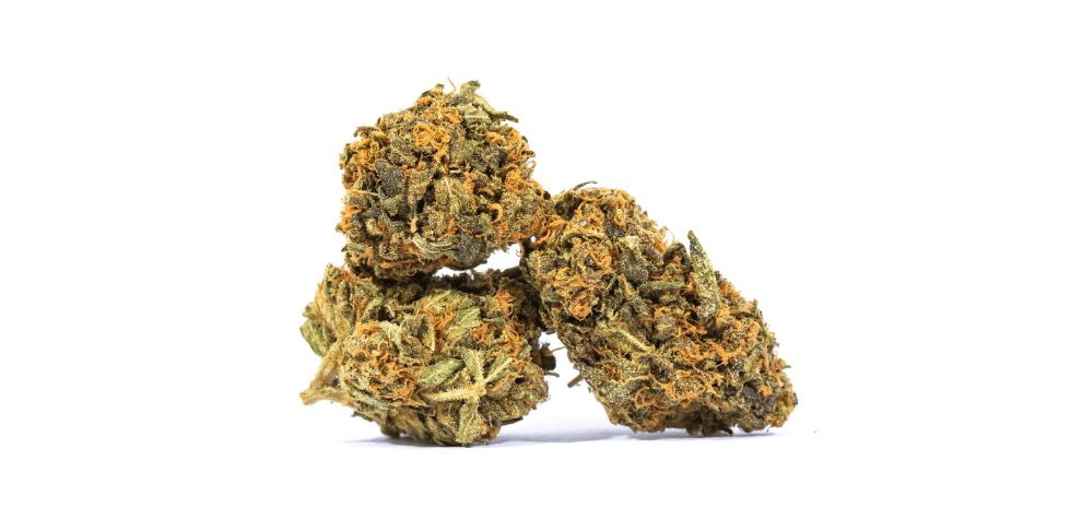 The Blue Cheese strain was born from crossing the boldly perfumed UK Cheese and the yummy Blueberry strains. 