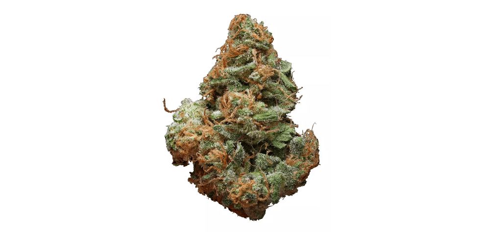 If you're looking for a special weed strain with unique qualities, you need to buy cannabis online and try out Blue Cheese. 
