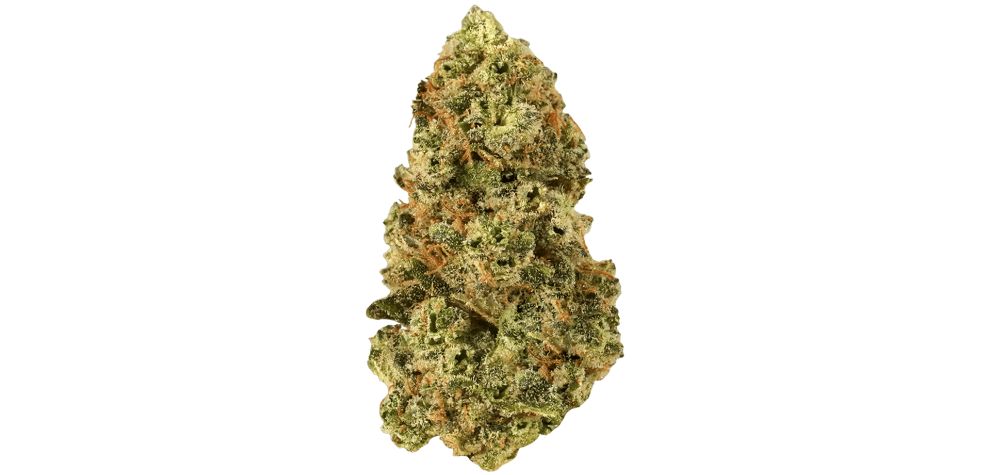 It's a rare bud you can only get from an established and well-stocked-up online dispensary. Due to its rare nature, it's hard to find it at local stores — that's why we recommend purchasing it digitally.