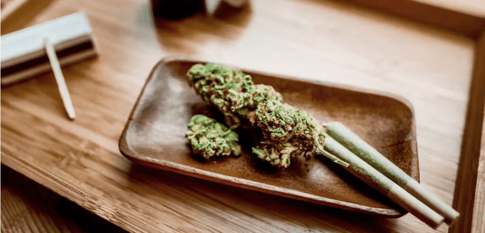 There are many benefits of buying weed at an online dispensary in Canada. However, it's important to note that you can only enjoy them if you choose a reputable online weed dispensary like MMJ Express.
