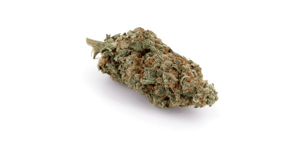 MMJExpress not only preaches the gospel of shopping for your weed online but also offers value. 