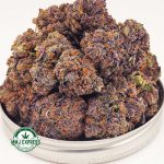 Buy Cannabis Purple Gelato AAA at MMJ Express Online Shop