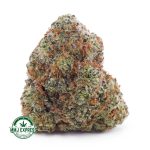 Buy Concentrates Cannabis Tropicana Cookies AAAA at MMJ Express Online Shop`Buy Concentrates Cannabis Tropicana Cookies AAAA at MMJ Express Online Shop