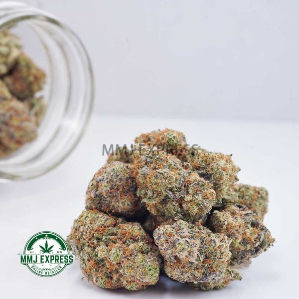 Buy Concentrates Cannabis Tropicana Cookies AAAA at MMJ Express Online Shop