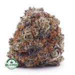 Buy Cannabis Blackberry Kush AA at MMJ Express Online Shop