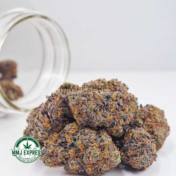 Buy Cannabis Purple Thunder Fuck AAAA at MMJ Express Online Shop