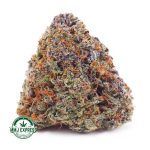 Buy Cannabis Gelato #33 AAAA at MMJ Express Online Shop