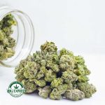Buy Cannabis Island Kush AAA (Popcorn Nugs) at MMJ Express Online Shop