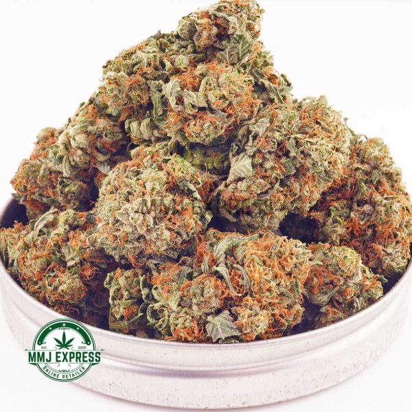 Buy Cannabis Oreoz AAA at MMJ Express Online Shop