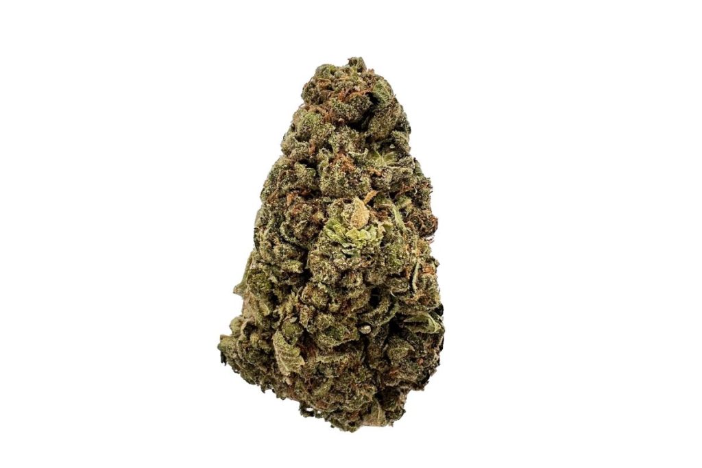 Dive into the world of Cherry Pie strain with our comprehensive review. Learn about its effects, flavour, appearance, & THC level. Order weed online!
