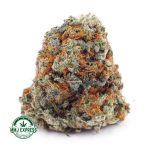 Buy Cannabis Coconut Haze AA at MMJ Express Online Shop