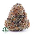 Buy Cannabis Dosi Cake AAA at MMJ Express Online Shop