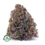 Buy Cannabis Purple Tropicana AAAA at MMJ Express Online Shop