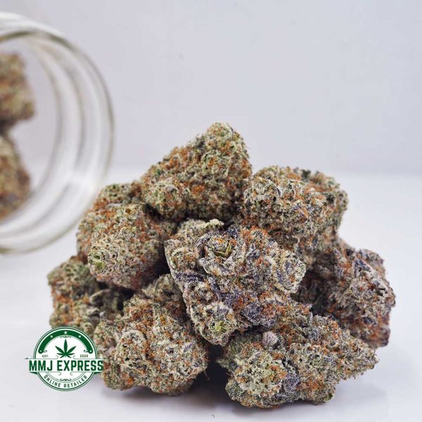 Buy Cannabis Vintage Blueberry AAAA+, Craft at MMJ Express Online Shop