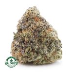 Buy Cannabis Alien Cookies AA at MMJ Express Online Shop