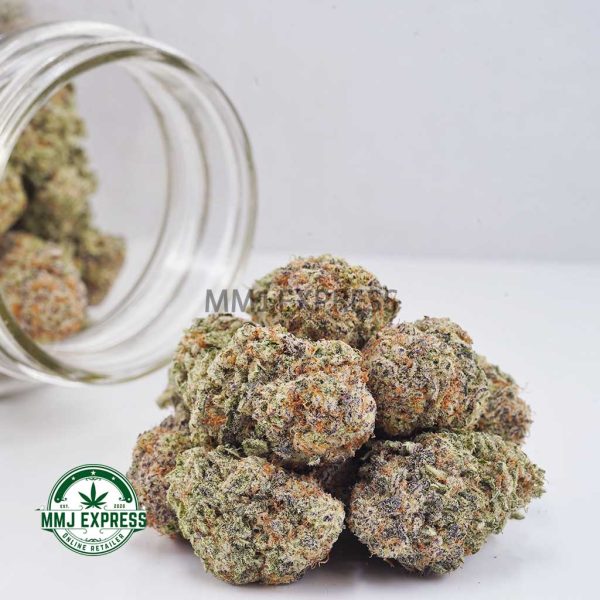 Buy Cannabis Alien Cookies AA at MMJ Express Online Shop