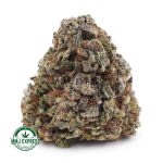 Buy Cannabis Khalifa Kush AAA at MMJ Express Online Shop