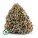 Buy Cannabis PB&J AA at MMJ Express Online Shop