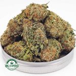 Buy Cannabis Lemon OG AA at MMJ Express Online Shop