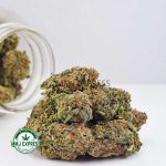 Buy Cannabis Lemon OG AA at MMJ ExpresBuy Cannabis Lemon OG AA at MMJ Express Online Shops Online Shop