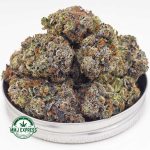 Buy Cannabis Island Pink Kush AAAA+, Craft at MMJ Express Online Shop