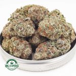 Buy Cannabis Apple Mints AAAA at MMJ Express Online Shop