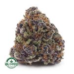 Buy Cannabis King Tut AAA at MMJ Express Online Shop