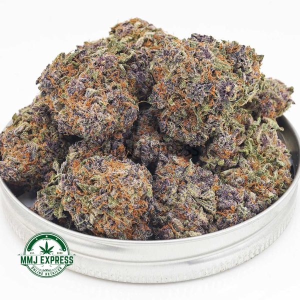 Buy Cannabis King Tut AAA at MMJ Express Online Shop