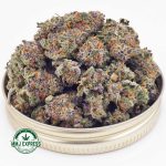 Buy Cannabis Thin Mintz AAAA (Popcorn Nugs) at MMJ Express Online Shop