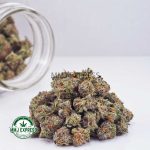 Buy Cannabis Thin Mintz AAAA (Popcorn Nugs) at MMJ Express Online Shop