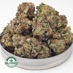 Buy Cannabis Tropical Punch AAAA at MMJ Express Online Shop