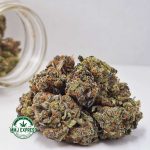 Buy Cannabis Tropical Punch AAAA at MMJ Express Online Shop