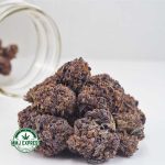 Buy Cannabis Purple Kush AAA MMJ Express Online Shop