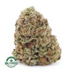 Buy Cannabis Super Silver Haze AAA at MMJ Express Online Shop