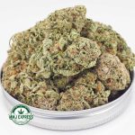 Buy Cannabis Super Silver Haze AAA at MMJ Express Online Shop